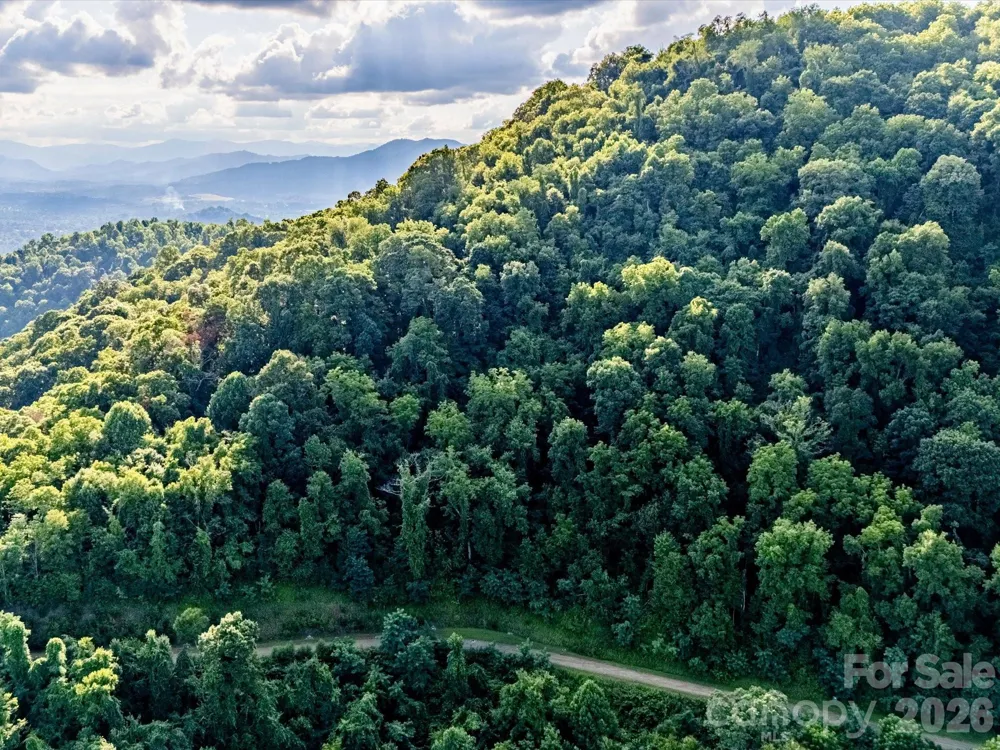 42 High Rock View Drive Canton, NC 28716