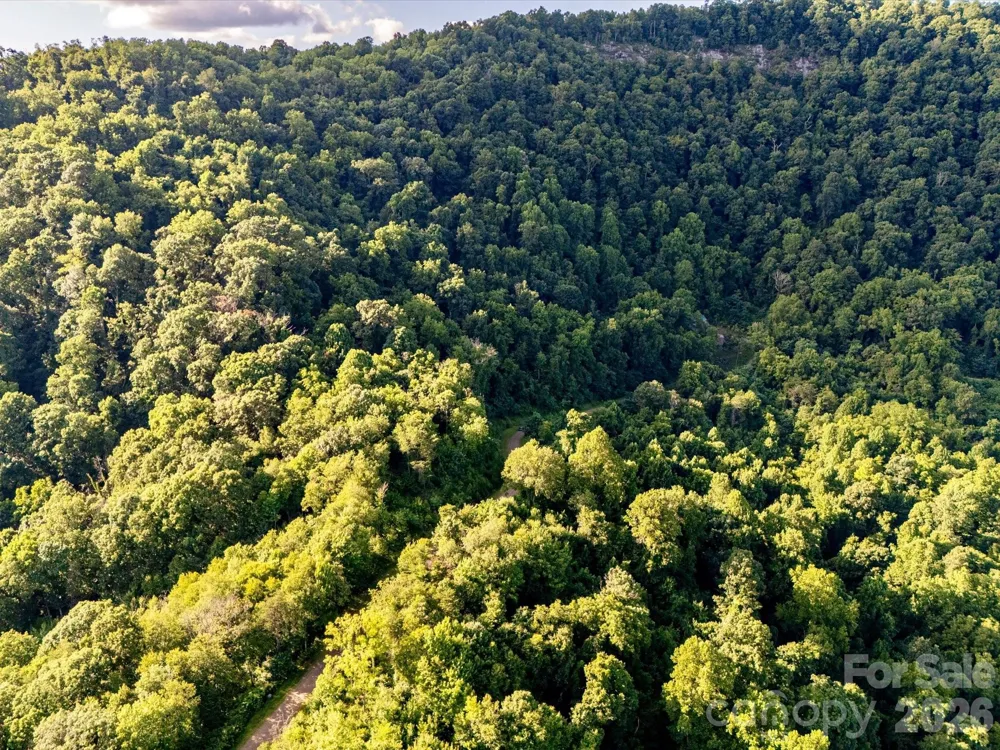 42 High Rock View Drive Canton, NC 28716