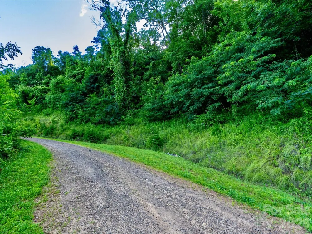 42 High Rock View Drive Canton, NC 28716