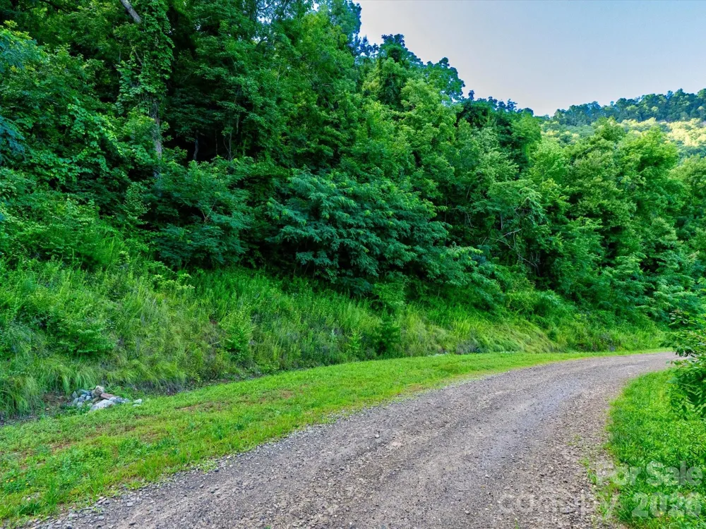 42 High Rock View Drive Canton, NC 28716