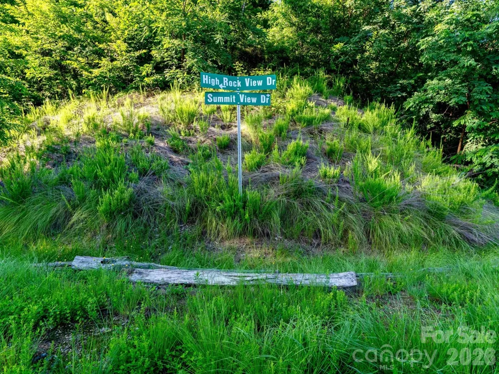 42 High Rock View Drive Canton, NC 28716
