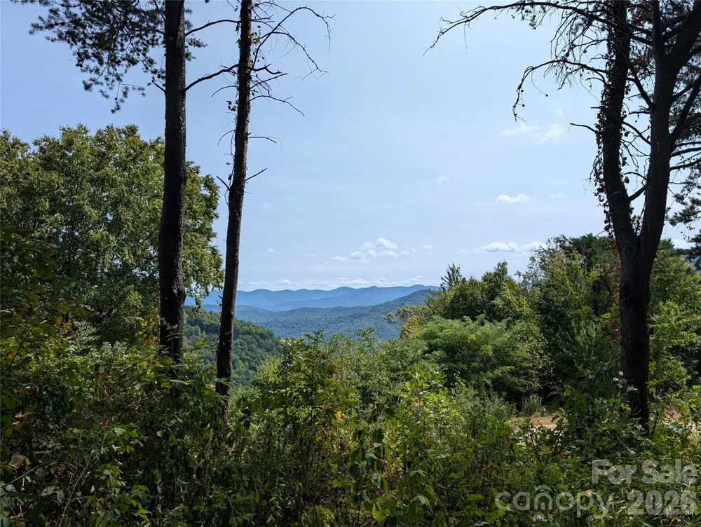 42 High Rock View Drive Canton, NC 28716