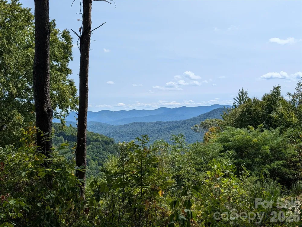 42 High Rock View Drive Canton, NC 28716