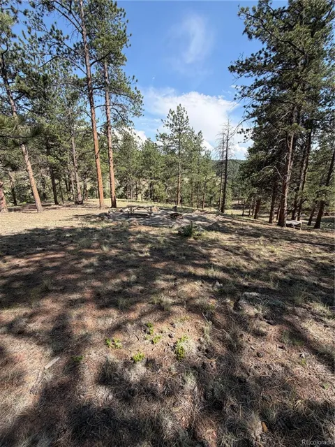 39 Rabbil Creek Trail
