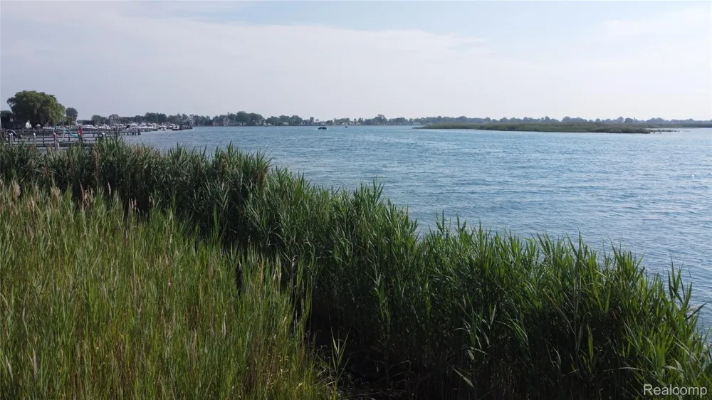 8350 Sni Bora Clay Township, MI 48001