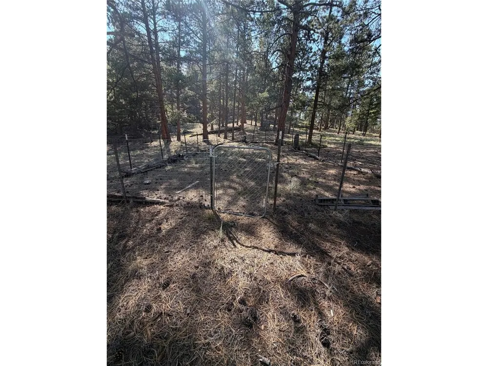 39 Rabbil Creek Trail Florissant, CO 80816