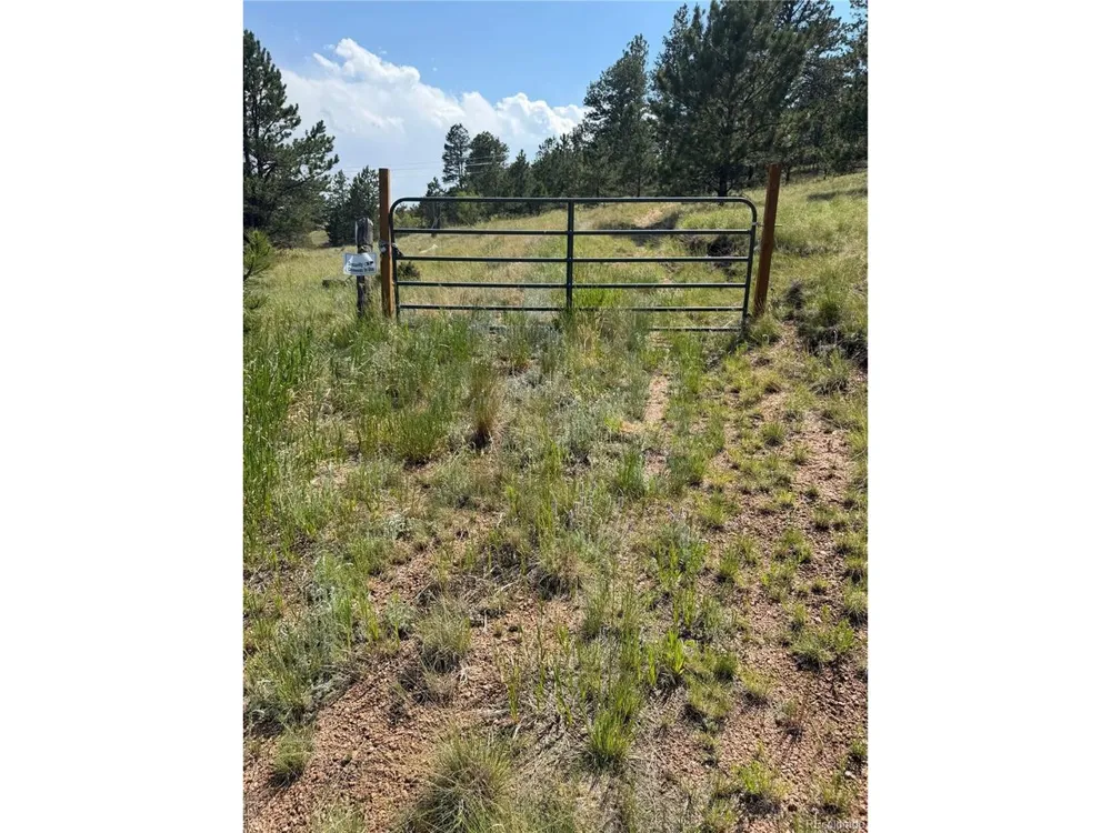 39 Rabbil Creek Trail Florissant, CO 80816