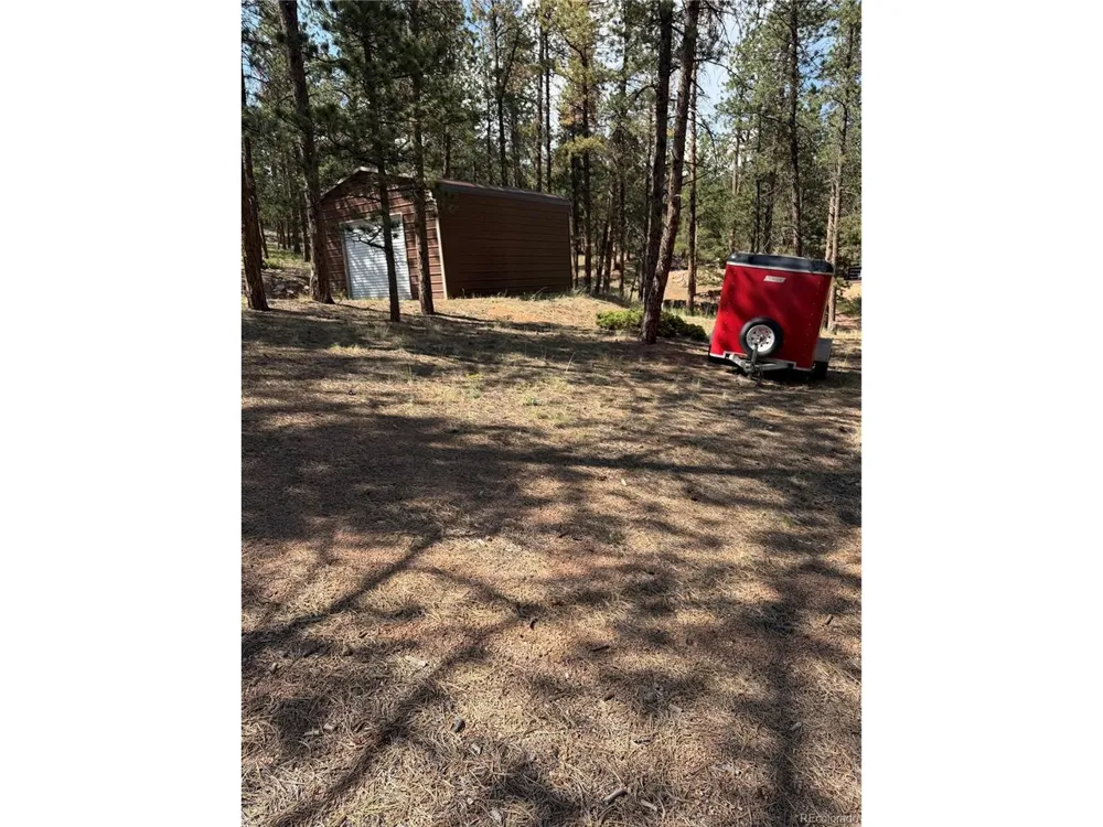 39 Rabbil Creek Trail Florissant, CO 80816