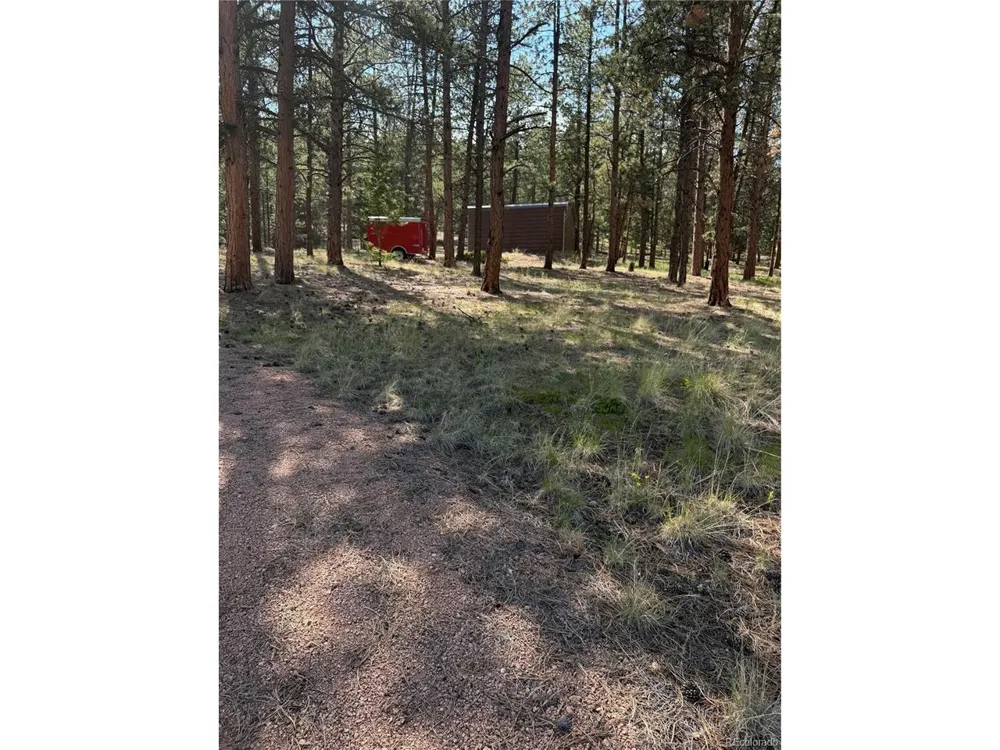 39 Rabbil Creek Trail Florissant, CO 80816