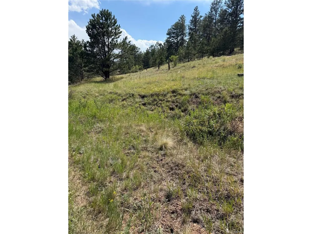 39 Rabbil Creek Trail Florissant, CO 80816