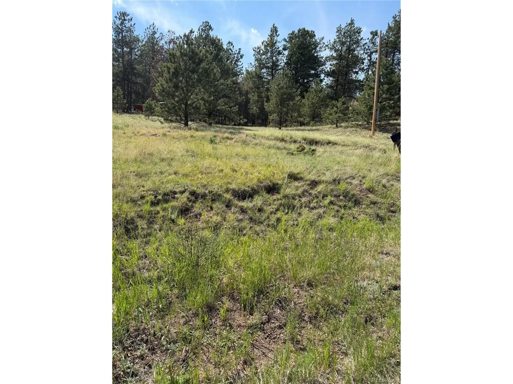 39 Rabbil Creek Trail Florissant, CO 80816