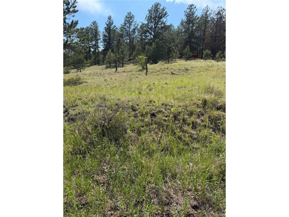 39 Rabbil Creek Trail Florissant, CO 80816
