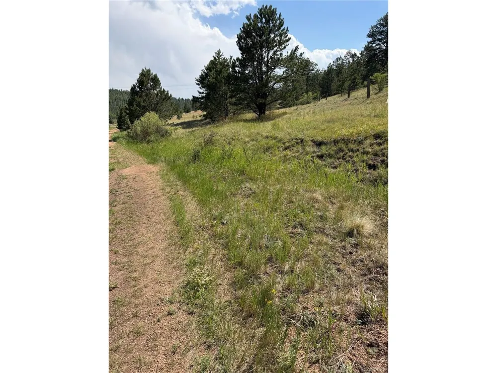 39 Rabbil Creek Trail Florissant, CO 80816