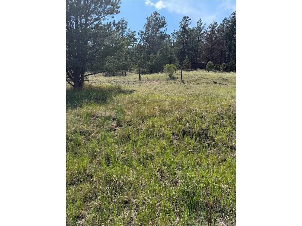 39 Rabbil Creek Trail Florissant, CO 80816