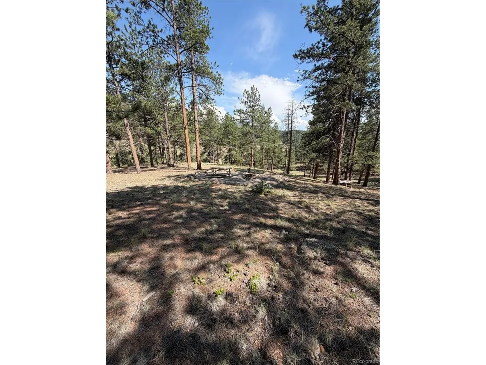 39 Rabbil Creek Trail Florissant, CO 80816