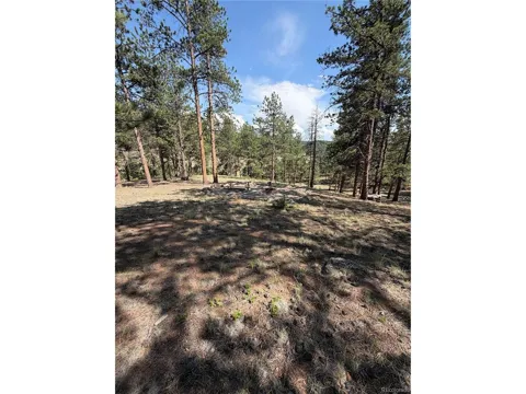 39 Rabbil Creek Trail