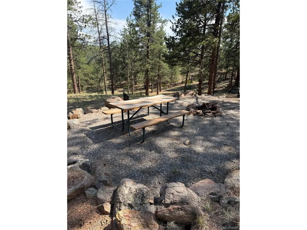 39 Rabbil Creek Trail Florissant, CO 80816