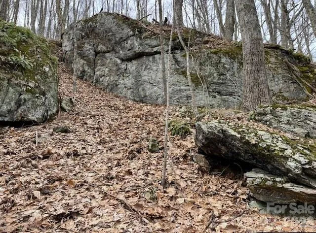 110 Cabin Ridge #110 Waynesville, NC 28785