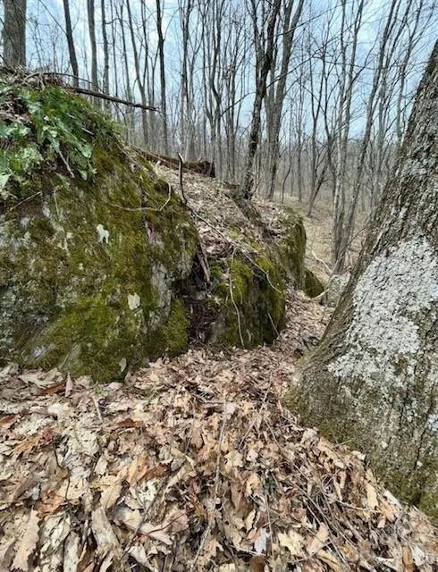 110 Cabin Ridge #110 Waynesville, NC 28785