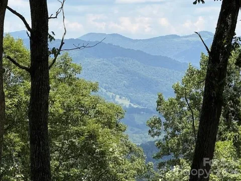 110 Cabin Ridge #110