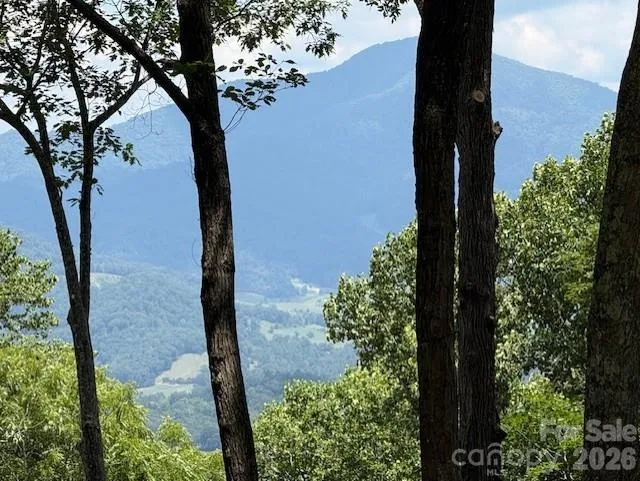110 Cabin Ridge #110 Waynesville, NC 28785