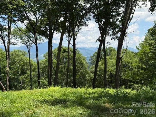 110 Cabin Ridge #110 Waynesville, NC 28785