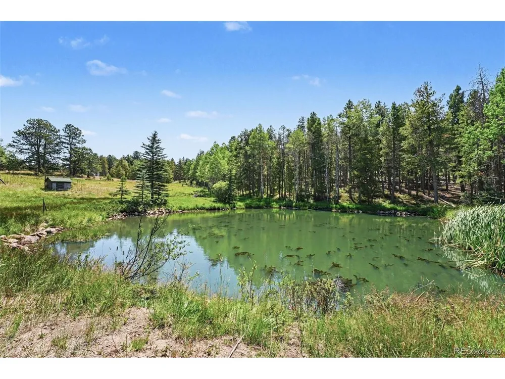 23300 Pleasant Park Road Conifer, CO 80433
