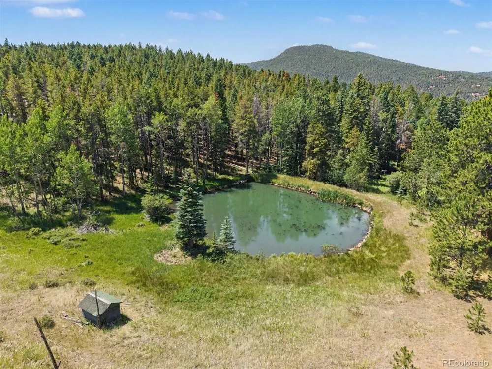 23300 Pleasant Park Road Conifer, CO 80433