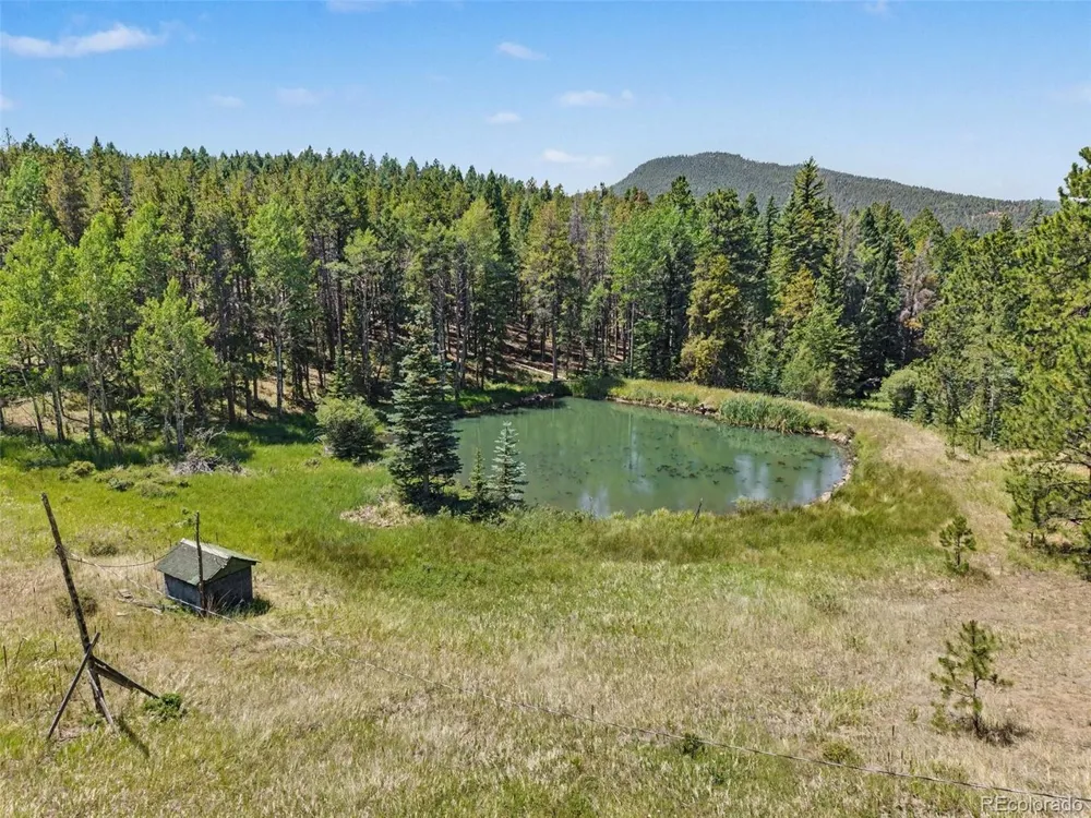 23300 Pleasant Park Road Conifer, CO 80433