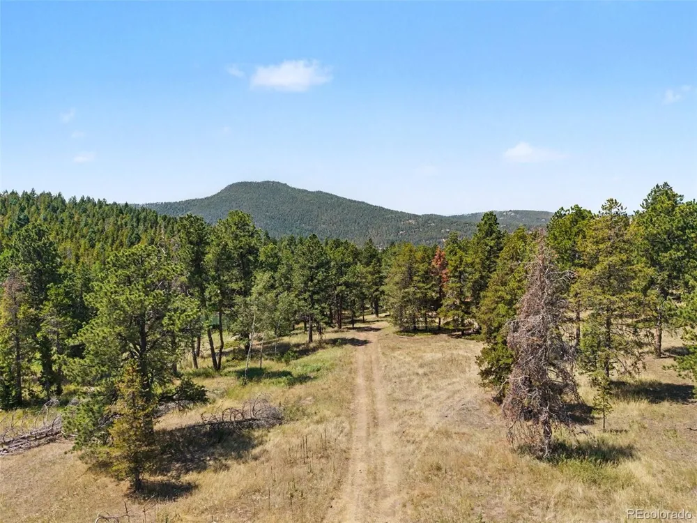 23300 Pleasant Park Road Conifer, CO 80433