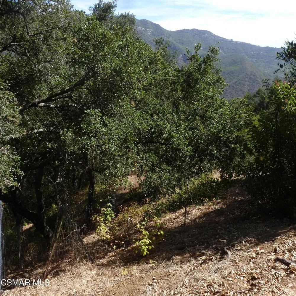 26241 Idlewild Way Malibu, CA 90265