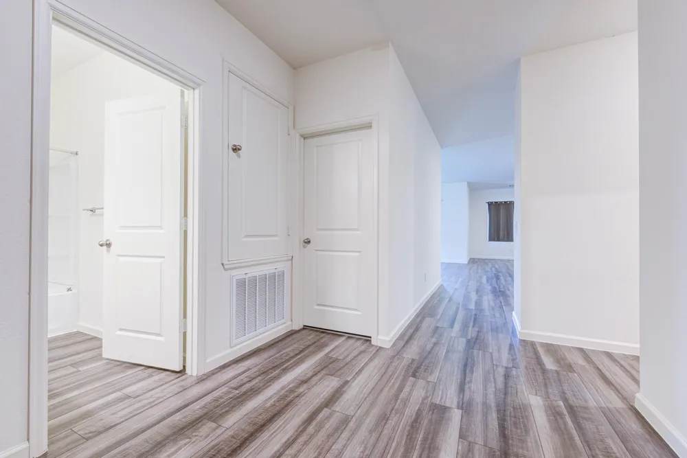 1005 Blue Beech Lane Brookshire, TX 77423