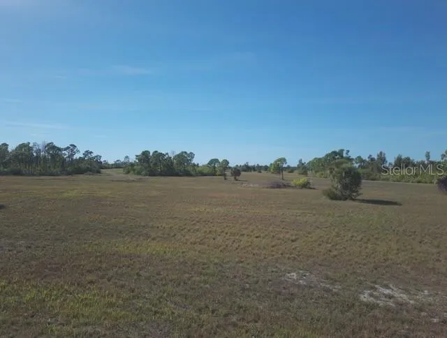 12455 BLUE MARLIN ROAD Placida, FL 33946