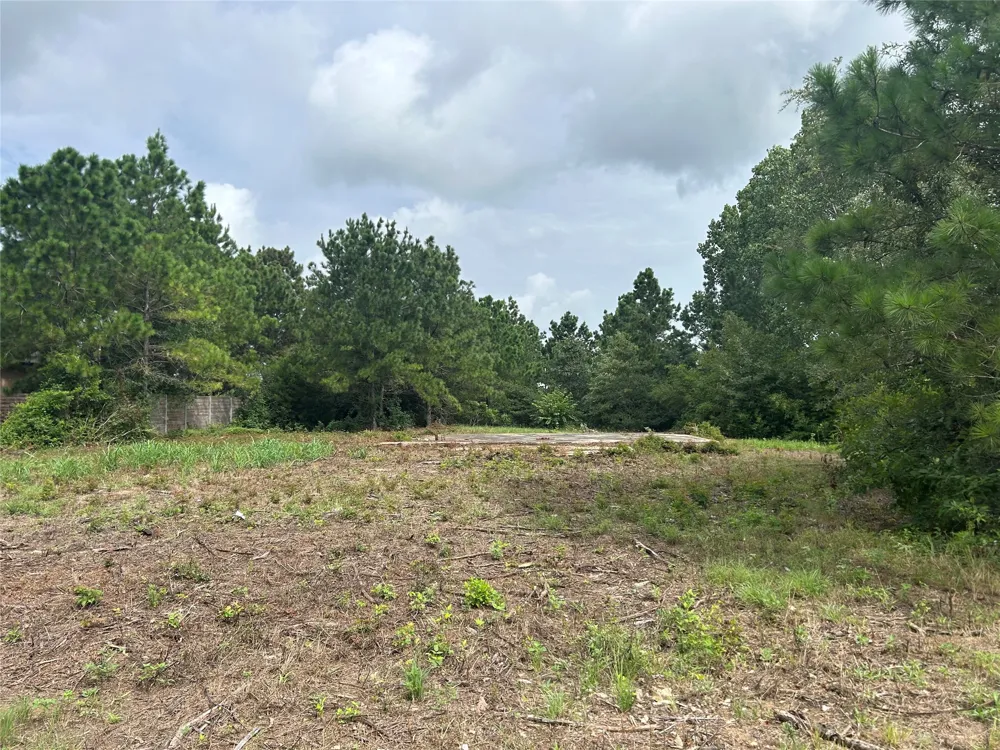 158 Cardinal Loop Paige, TX 78659