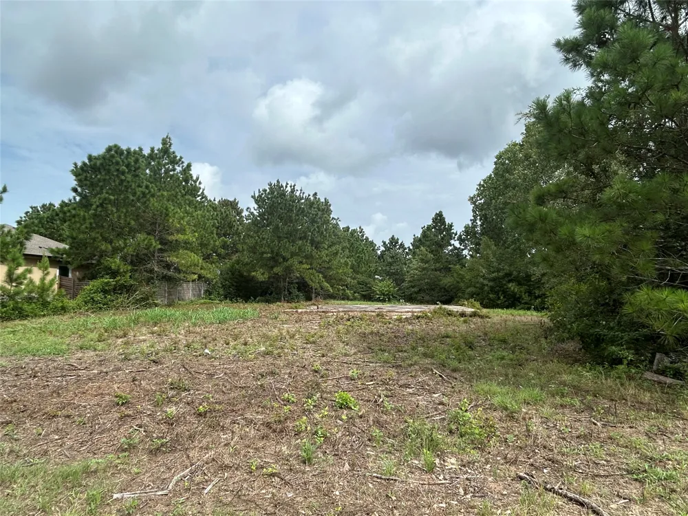 158 Cardinal Loop Paige, TX 78659