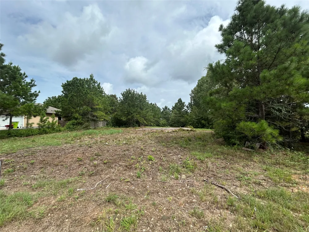 158 Cardinal Loop Paige, TX 78659