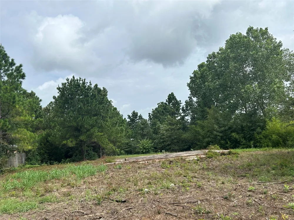 158 Cardinal Loop Paige, TX 78659