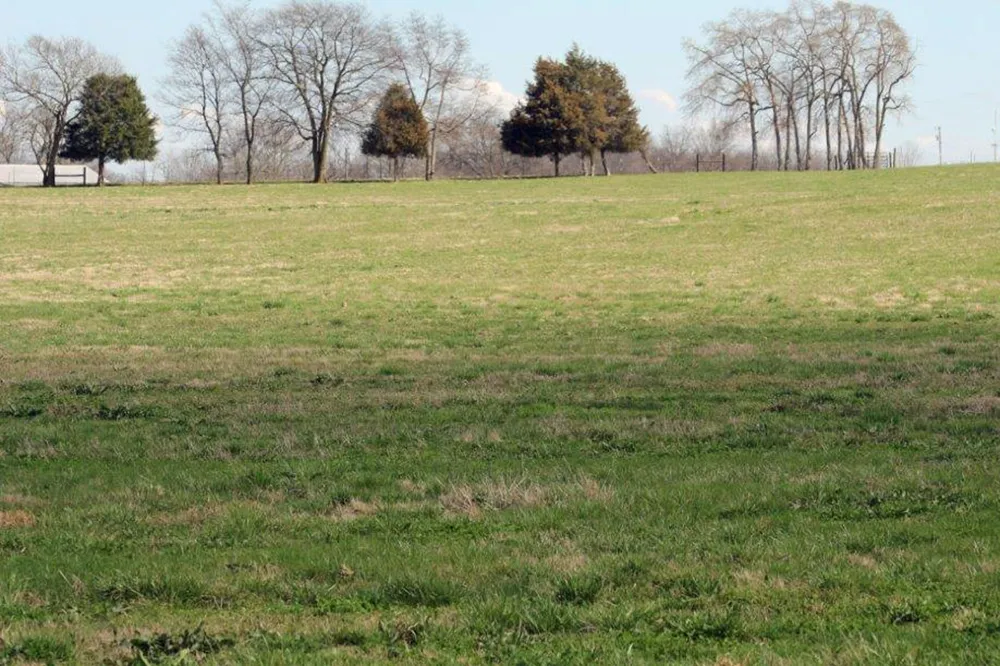 144 Mary Adams Rd Franklin, KY 42134