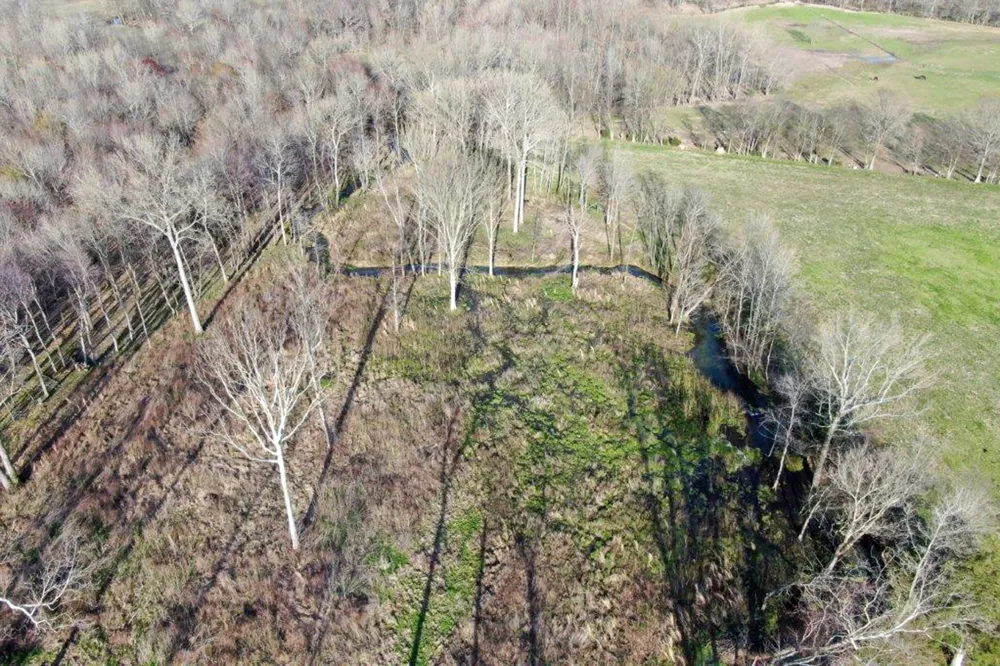 144 Mary Adams Rd Franklin, KY 42134