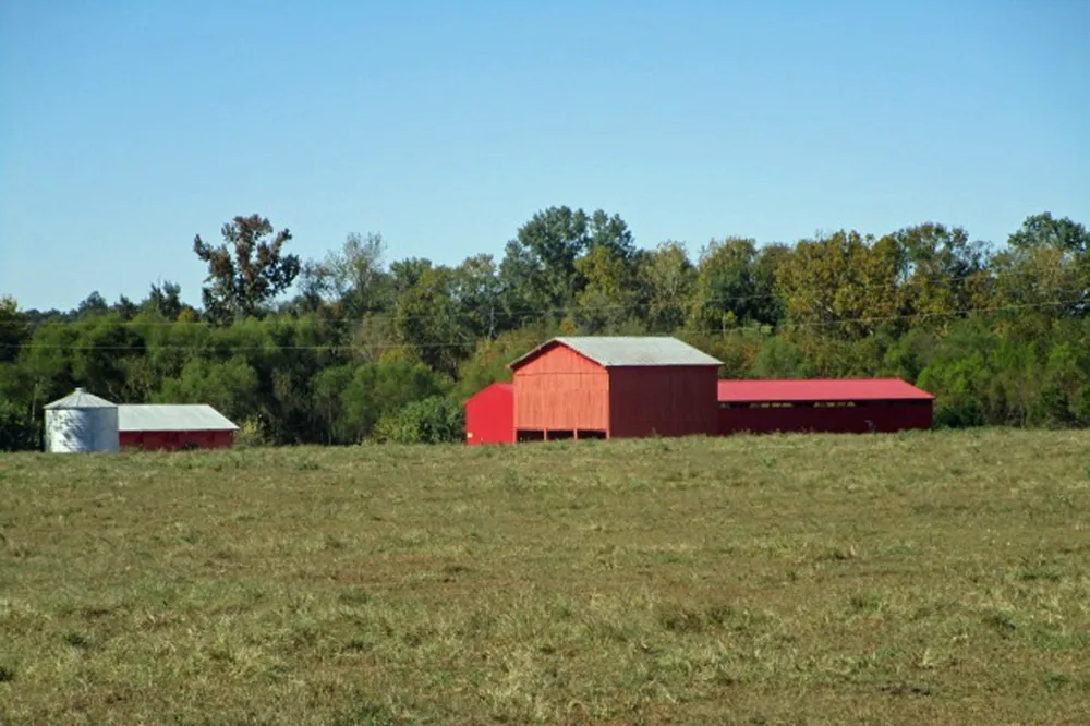 144 Mary Adams Rd Franklin, KY 42134