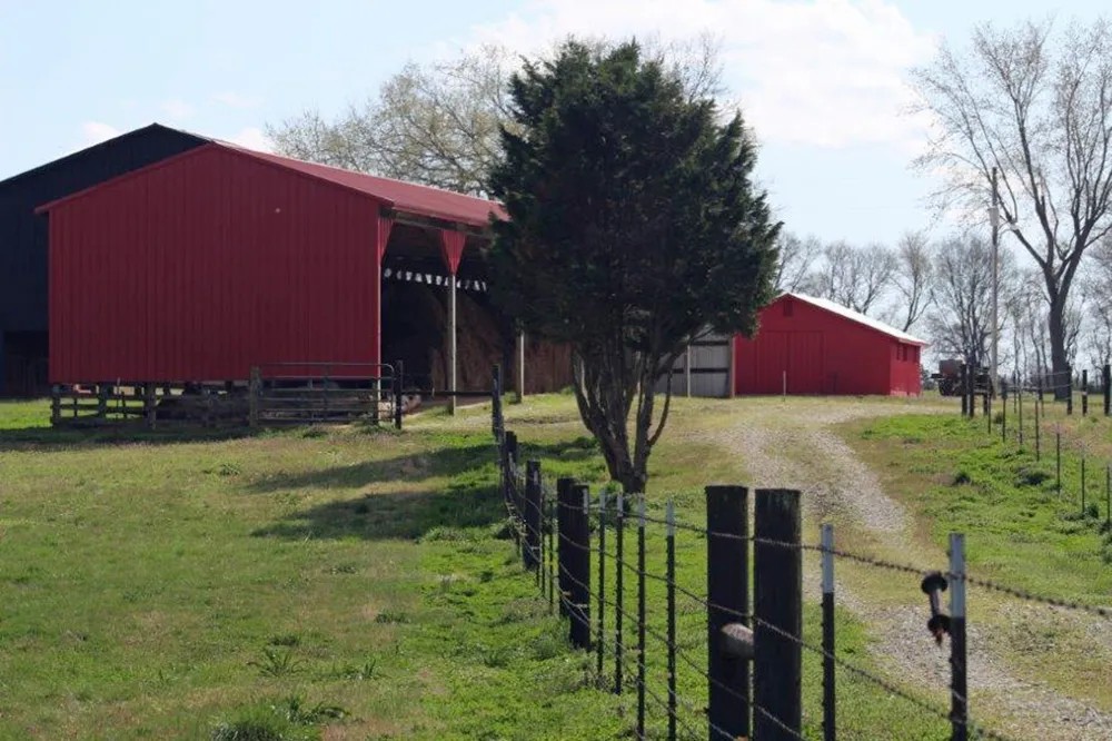 144 Mary Adams Rd Franklin, KY 42134