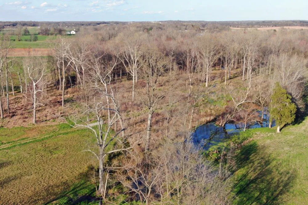 144 Mary Adams Rd Franklin, KY 42134