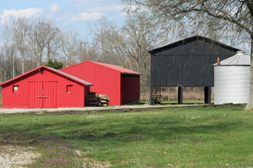 144 Mary Adams Rd Franklin, KY 42134