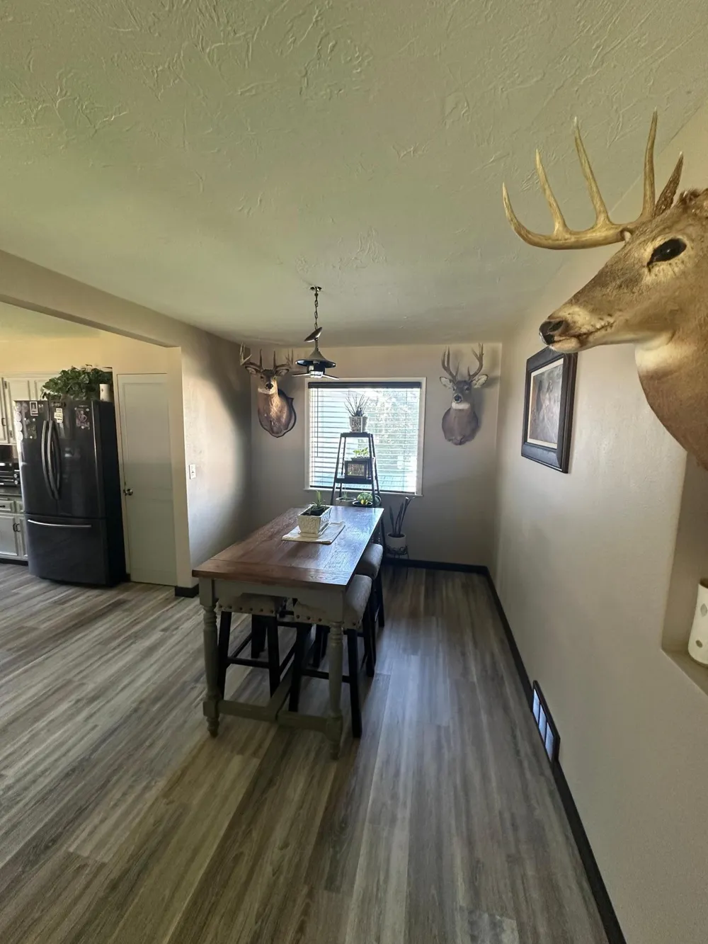 401 Burlington Avenue Fergus Falls, MN 56537