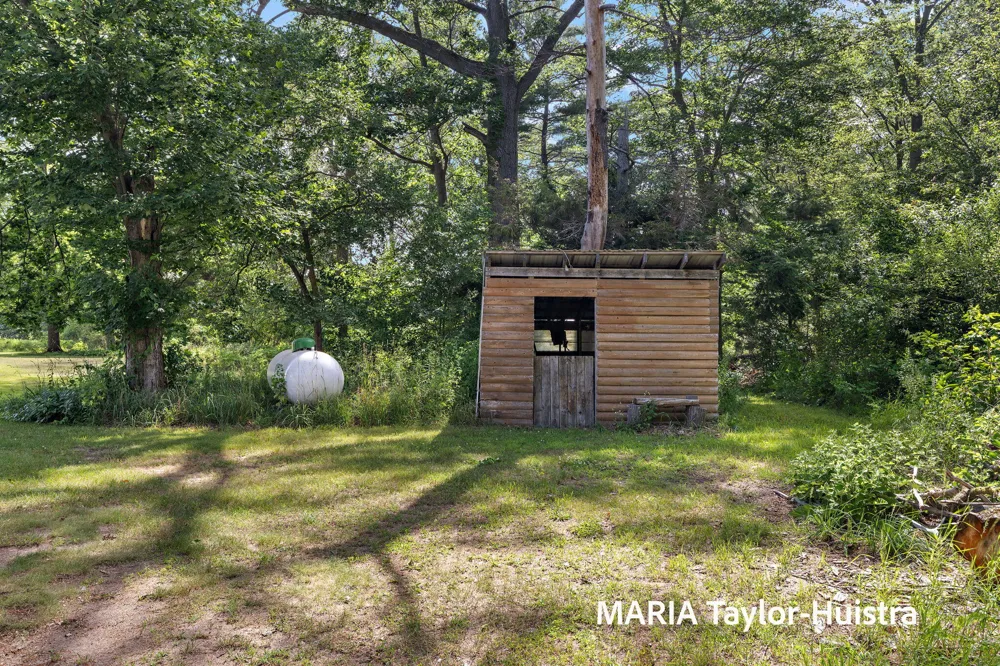 13388 Rich Street Robinson Township, MI 49417