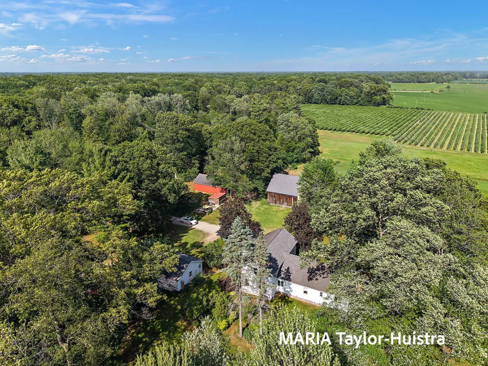 13388 Rich Street Robinson Township, MI 49417