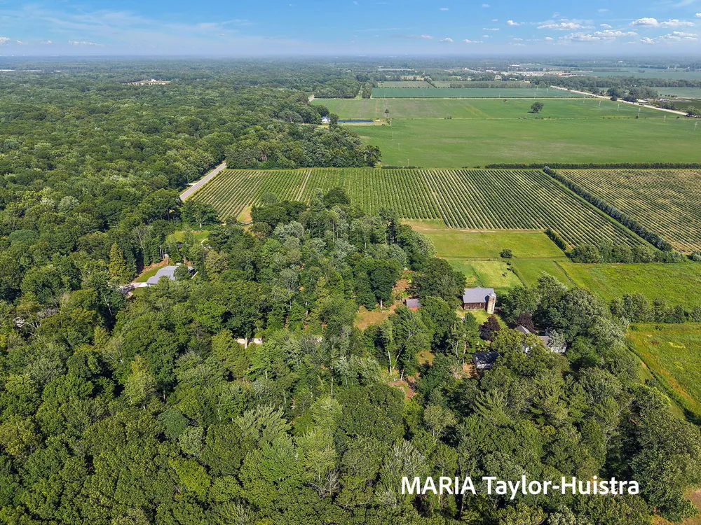 13388 Rich Street Robinson Township, MI 49417