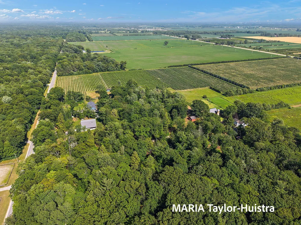 13388 Rich Street Robinson Township, MI 49417