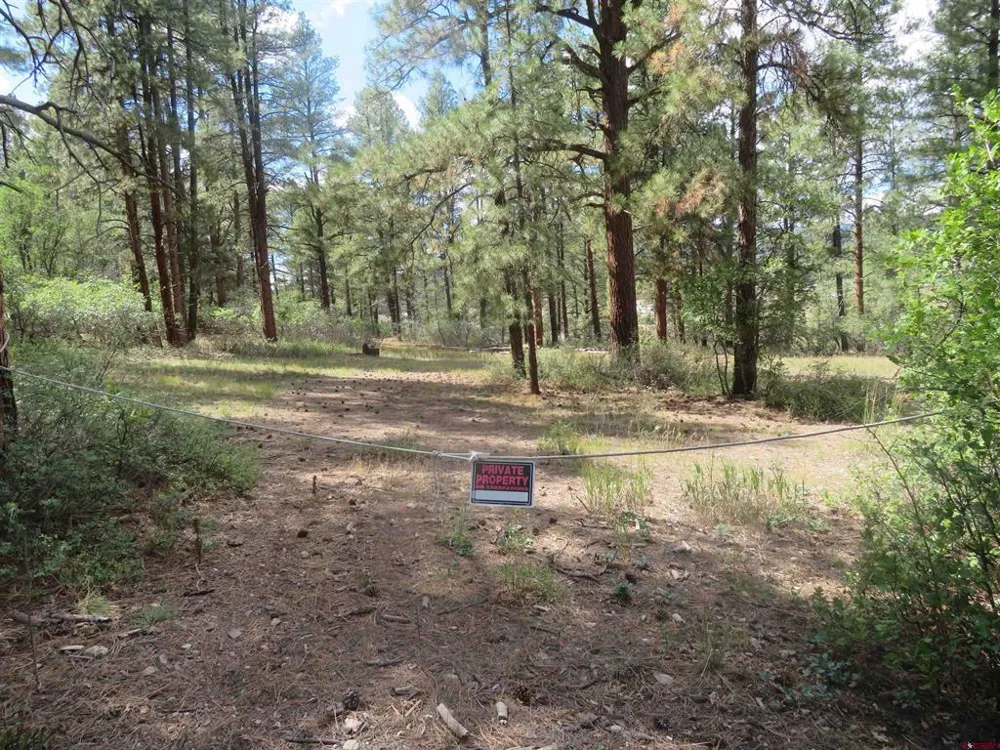 706 Hilltop Drive Pagosa Springs, CO 81147