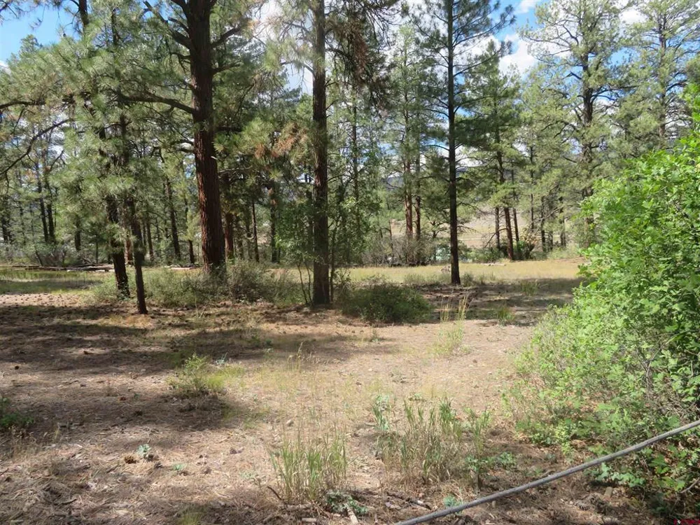 706 Hilltop Drive Pagosa Springs, CO 81147